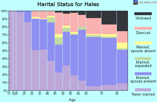 Zip code 33707 marital status for males