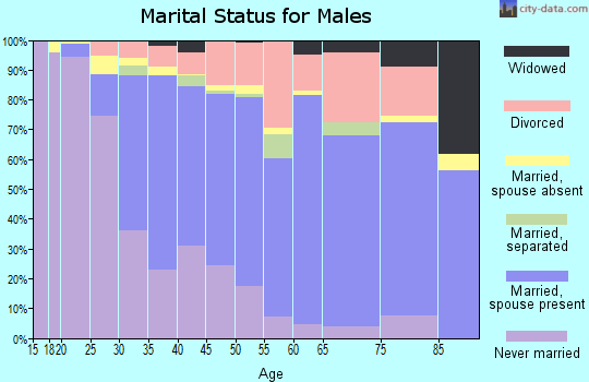 Zip code 33710 marital status for males