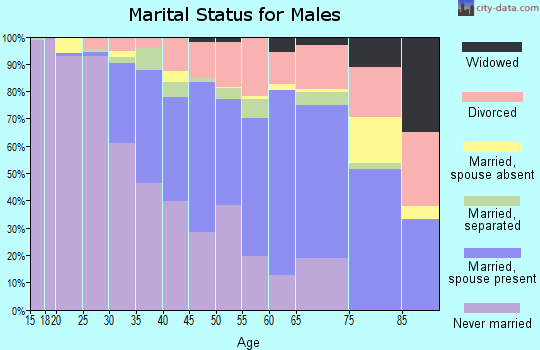 Zip code 33712 marital status for males