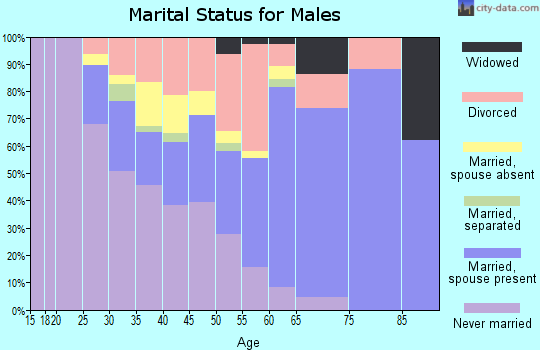 Zip code 33762 marital status for males