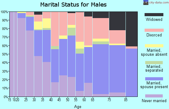 Zip code 33770 marital status for males