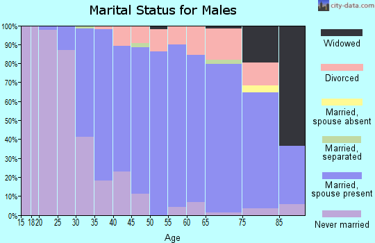 Zip code 33776 marital status for males