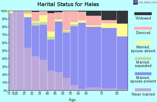 Zip code 33777 marital status for males