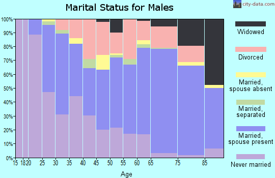Zip code 33778 marital status for males