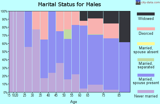 Zip code 33785 marital status for males