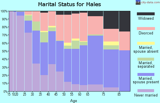 Zip code 33801 marital status for males