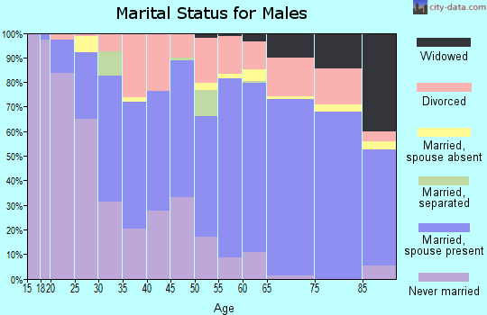 Zip code 33803 marital status for males