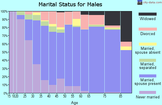 Zip code 33810 marital status for males