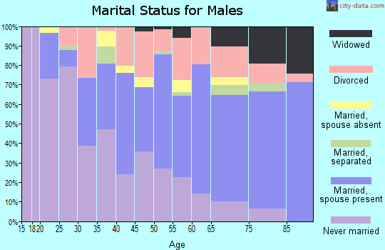 Zip code 33815 marital status for males