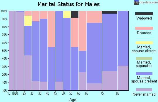Zip code 33827 marital status for males