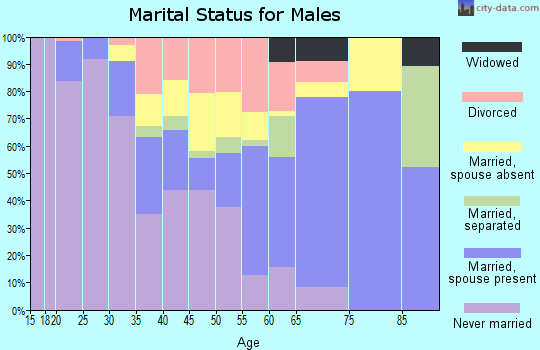 Zip code 33834 marital status for males
