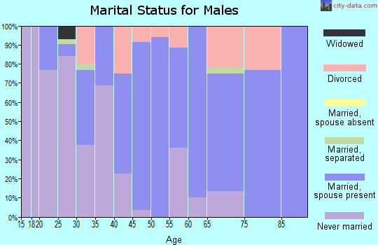 Zip code 33839 marital status for males