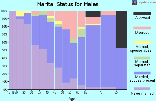 Zip code 33841 marital status for males