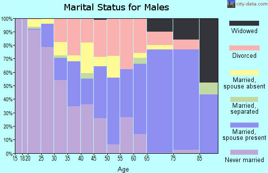 Zip code 33843 marital status for males