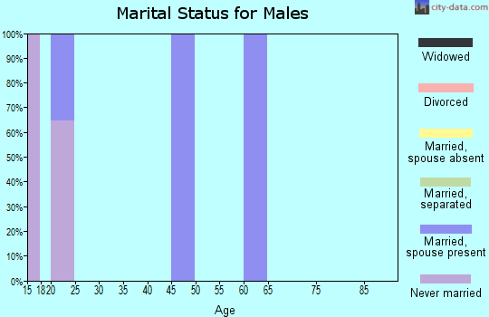 Zip code 33847 marital status for males