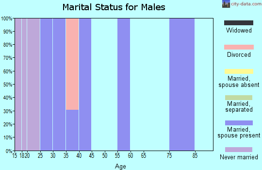 Zip code 33848 marital status for males