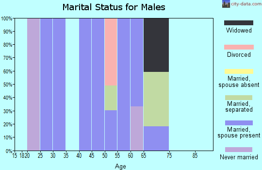 Zip code 33849 marital status for males