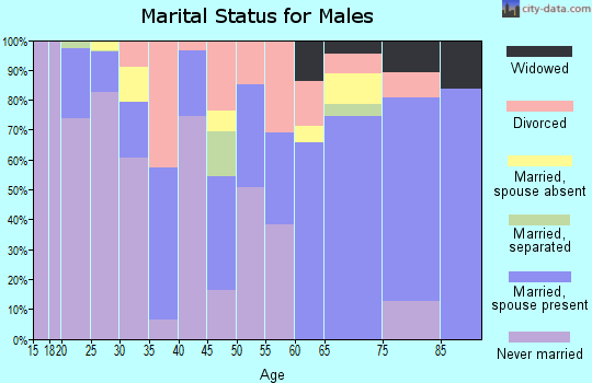 Zip code 33850 marital status for males