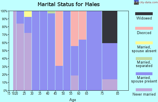 Zip code 33851 marital status for males