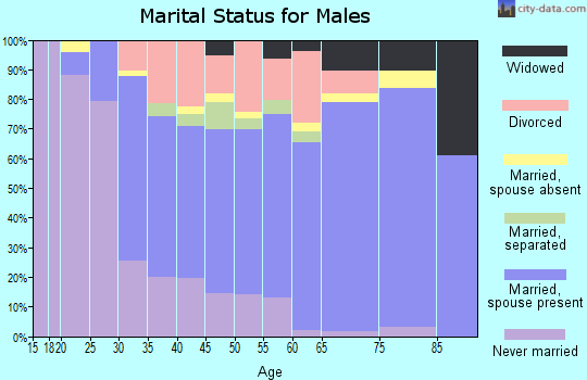 Zip code 33860 marital status for males