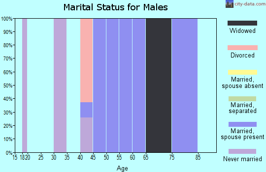 Zip code 33865 marital status for males