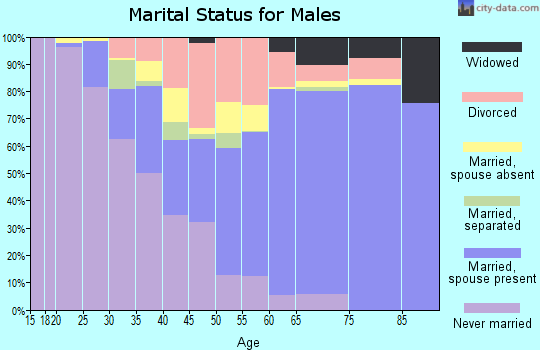 Zip code 33868 marital status for males