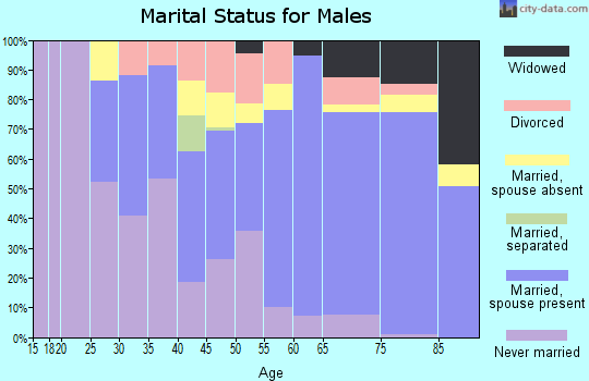 Zip code 33873 marital status for males