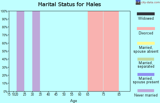 Zip code 33877 marital status for males