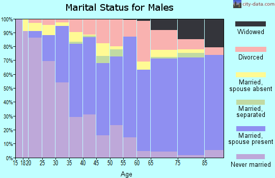 Zip code 33880 marital status for males