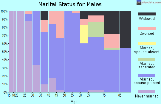 Zip code 33890 marital status for males