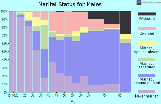 Zip code 33905 marital status for males