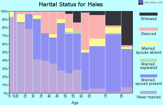 Zip code 33907 marital status for males