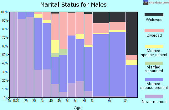 Zip code 33917 marital status for males