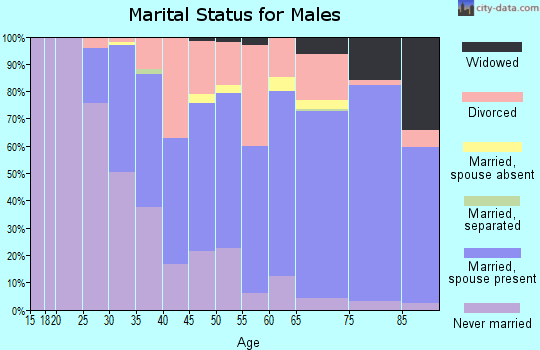 Zip code 33919 marital status for males