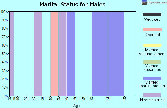 Zip code 33924 marital status for males