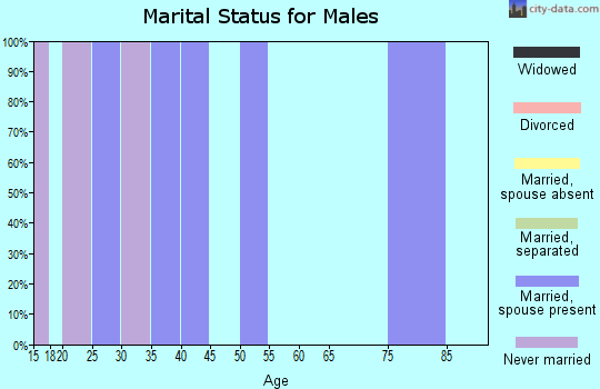 Zip code 33930 marital status for males