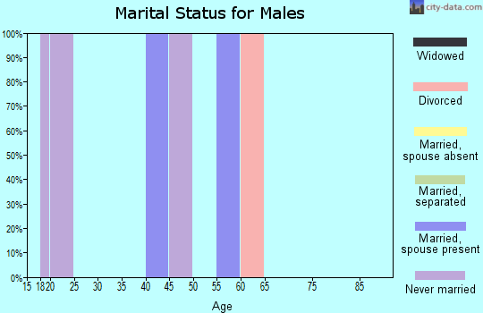 Zip code 33944 marital status for males