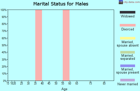 Zip code 33945 marital status for males