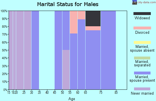 Zip code 33946 marital status for males