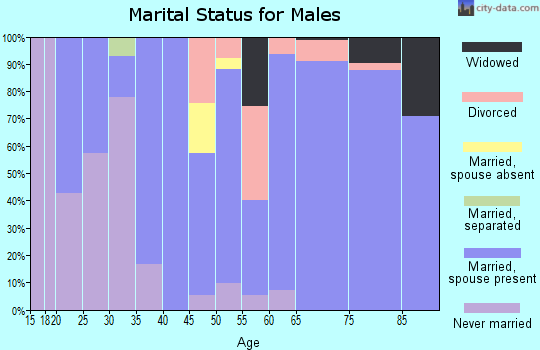 Zip code 33947 marital status for males