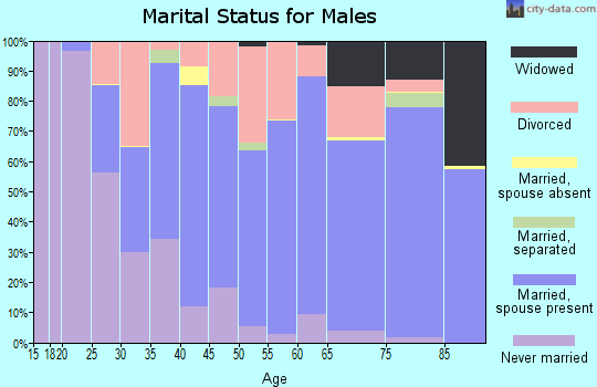 Zip code 33948 marital status for males