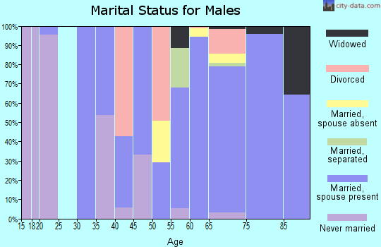 Zip code 33953 marital status for males