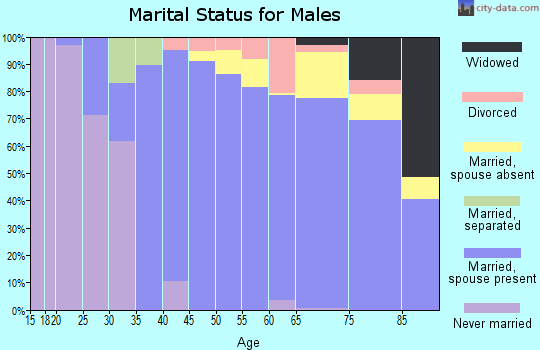 Zip code 33954 marital status for males