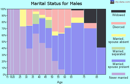 Zip code 33955 marital status for males