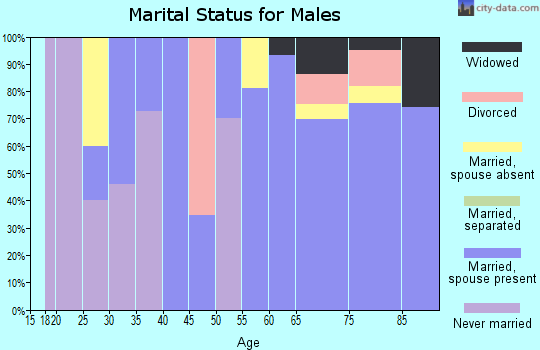 Zip code 33956 marital status for males