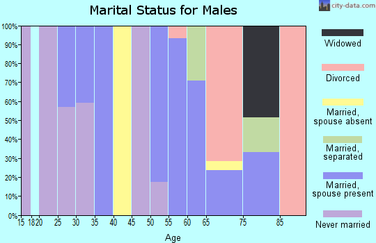Zip code 33960 marital status for males