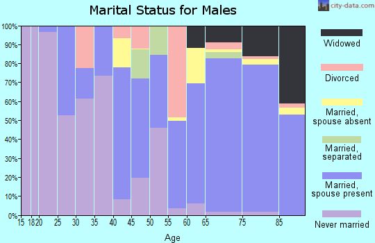 Zip code 33980 marital status for males
