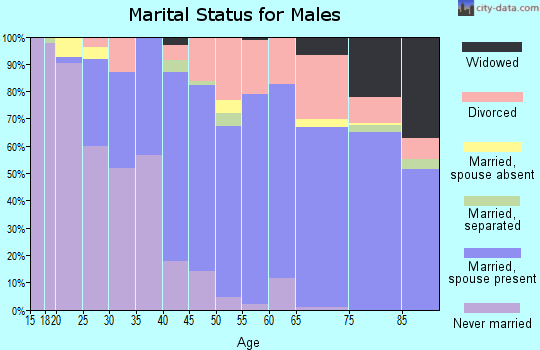 Zip code 33990 marital status for males