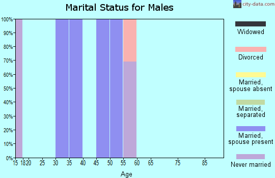 Zip code 34138 marital status for males