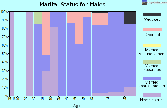 Zip code 34201 marital status for males